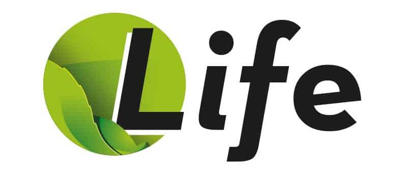 Life-logo